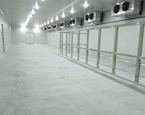 30000斤粉条冷冻库储藏标准及设备安装费用多少