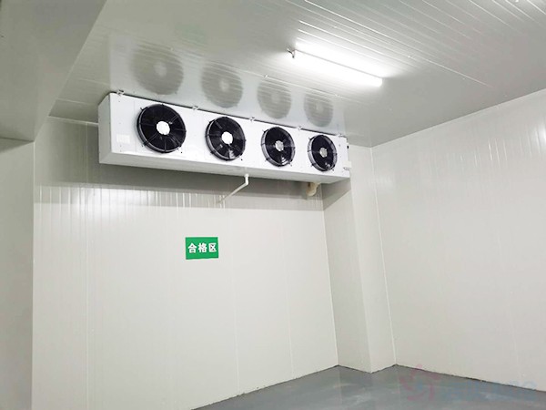 兽用生物制品冷库面积需要建多大？造价预算多少钱