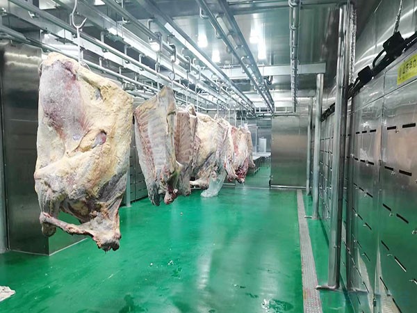 建造一个畜禽屠宰专用冷库造价标准多少钱