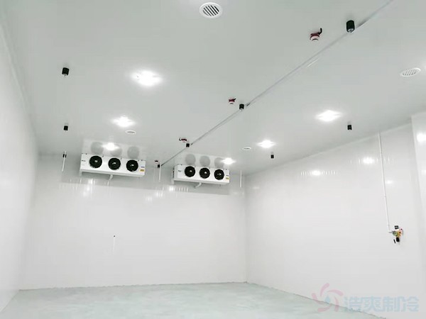 建冷库的费用与冷库的容量有什么关系?