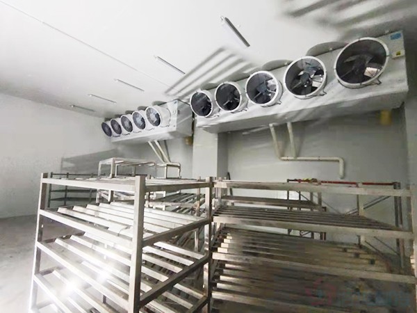 建造1000立方冷冻库配多大压缩机？造价预算多少钱？