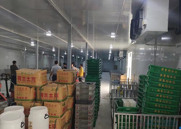 2000平米土豆冷库竟要200多万？揭秘气调保鲜库天价背后！
