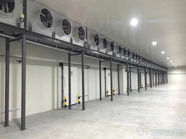 浙江大蒜冷藏库建造安装