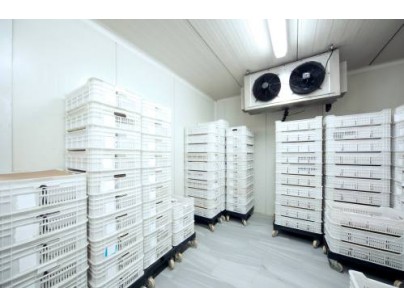 浙江仙居股份经济合作社羊肚菌气调保鲜冷库建造工程案