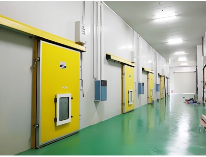 湖州练美农业果蔬产地型气调冷库建造工程案例