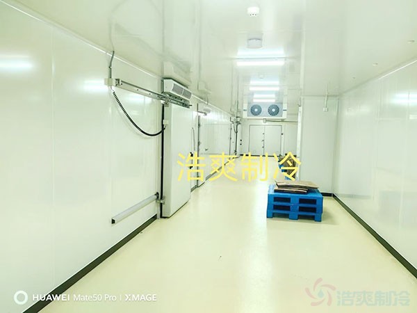 2~8药品冷库建设