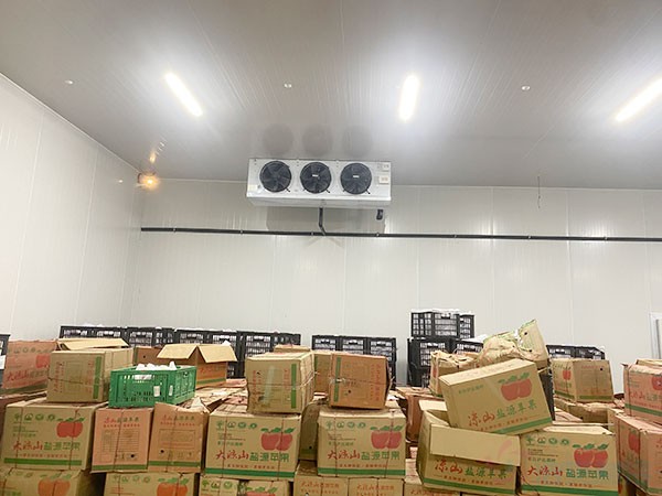 苹果冷库建设费用