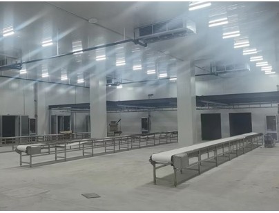 广西大化起点农牧2000m³畜禽肉类屠宰加工冷链中心建造冷库工程案例