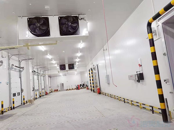 万吨大蒜冷库造价