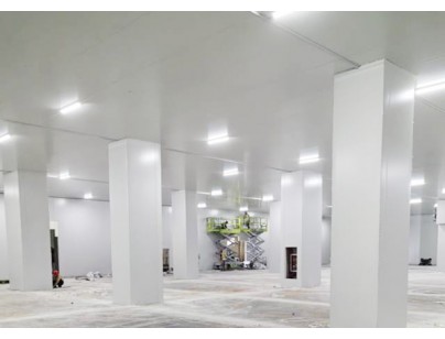 深圳望家欢智慧产业园一期大型食品冷库建造工程案例