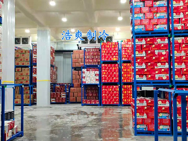 苹果保鲜库造价