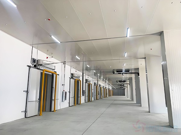 冷库建设造价