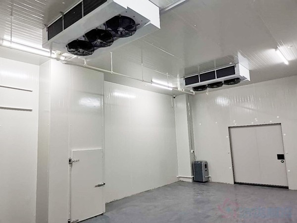 试剂冷库建设