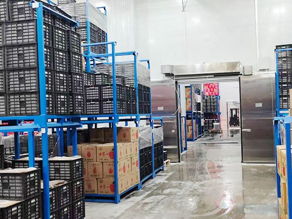 智能温控冷库建设
