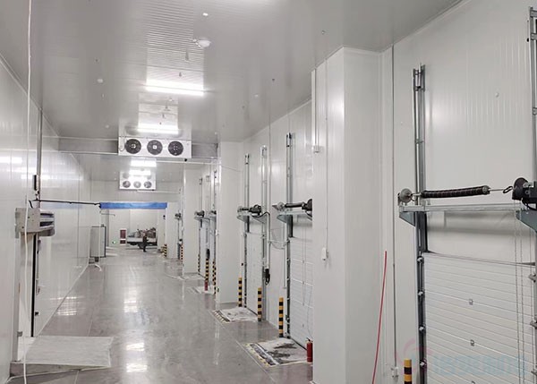 江苏环保冷库建设
