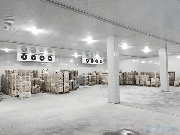 建冷库需要多久