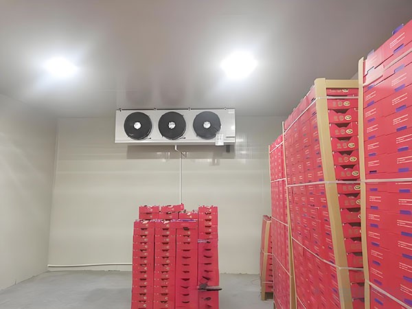 苹果冷库建造