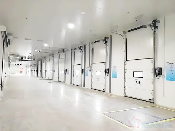 大型冷库建设