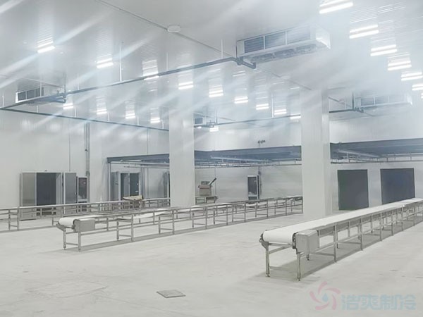 哈萨克斯坦阿拉木图食品加工厂冷库设计方案