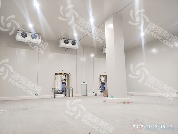 电子库冷库建造