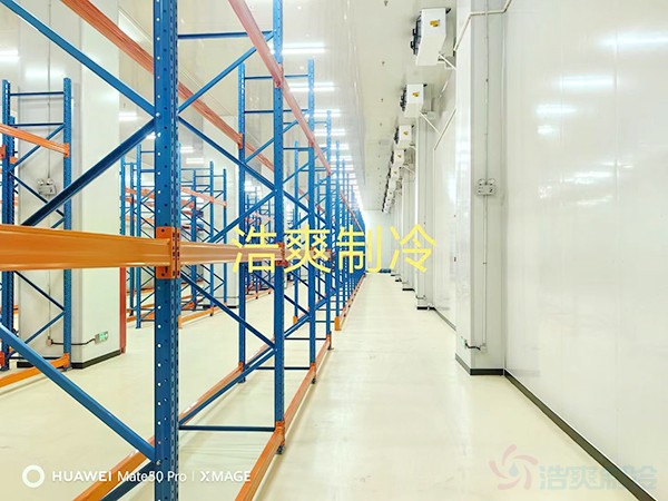 投资300万建中药材冻库，能做多大面积？